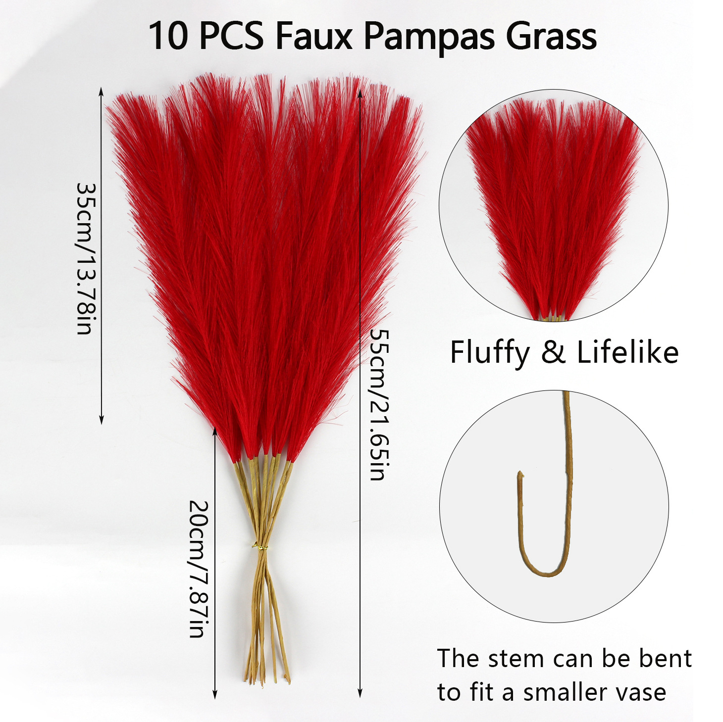 Herbe rouge de la pampa 10pcs