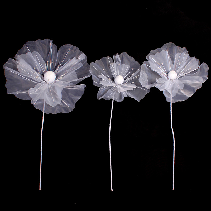 Tête de fleur blanche