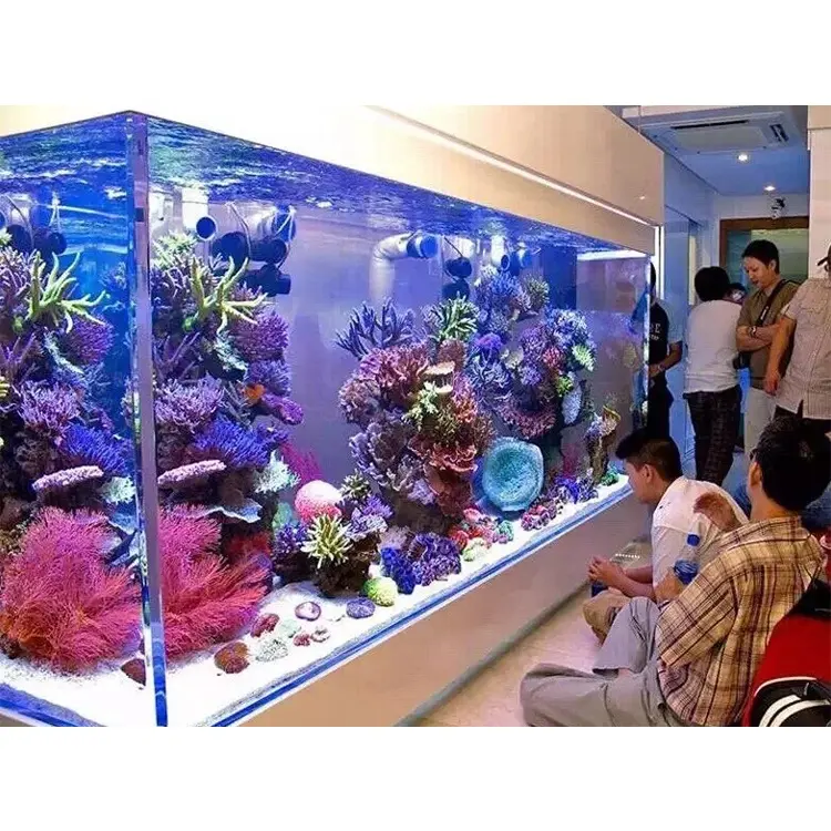 Grande aquário de acrílico/custom tamanhos acrílico tanque de peixes