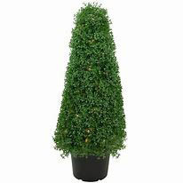 Y057 Wholesale Large Artificial <strong>Tree</strong> Large Outdoor Bonsai <strong>Trees</strong> Indoor <strong>Tree</strong> Landscape - Product Image 5