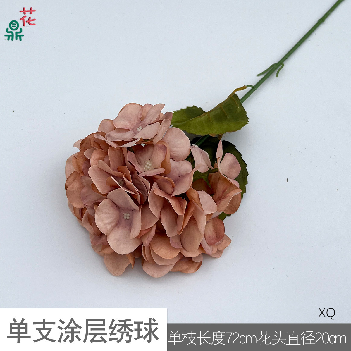 Hortensia XQ brun, simple couche
