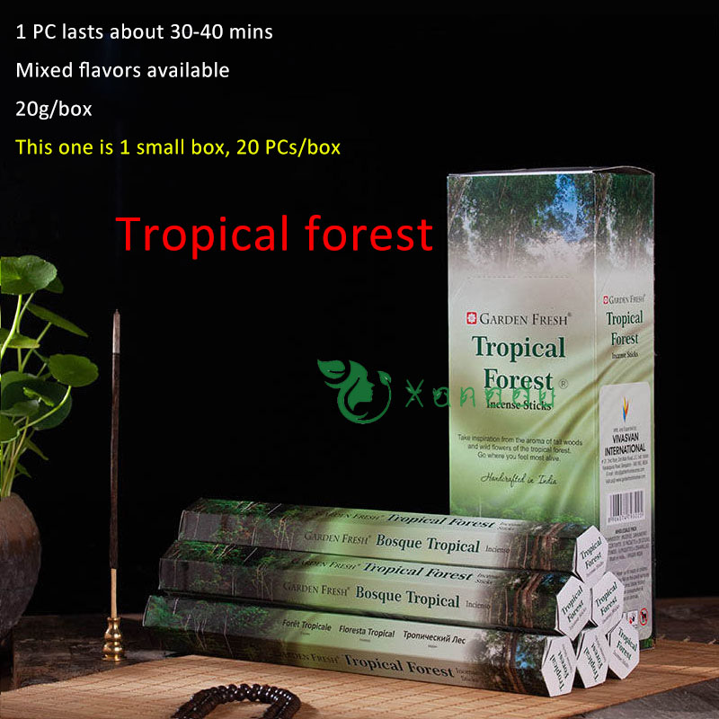 tropical forest