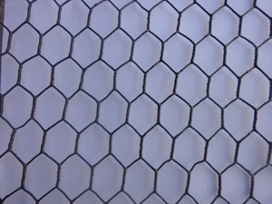 Dingzhou <strong>Factory</strong> Cheap Price PVC Galvanized Chicken Wire <strong>Hexagonal</strong> Wire <strong>Mesh</strong> <strong>Hexagonal</strong> Wire <strong>Netting</strong> <strong>Rolls</strong> for Poultry Cage - Product Image 2