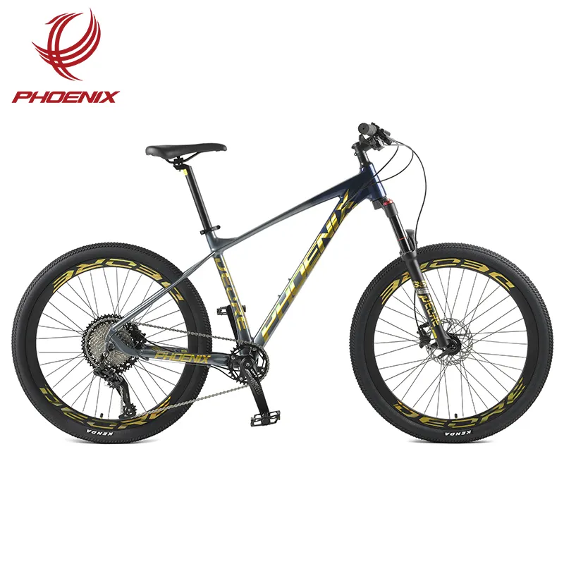 Phoenix bisiklet dağ bisikleti 29 inç alüminyum alaşımlı çerçeve özelleştirilmiş Mtb bisiklet