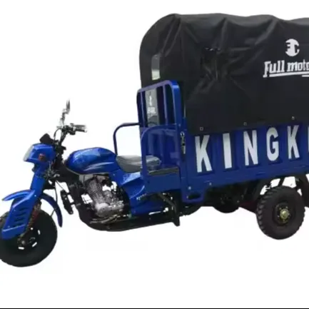 Dành cho người lớn ba bánh 200cc 250cc triciclo hàng hóa động cơ ba bánh 3 bánh xe gắn máy điện Trike tuktuk mototaxi nằm Trike