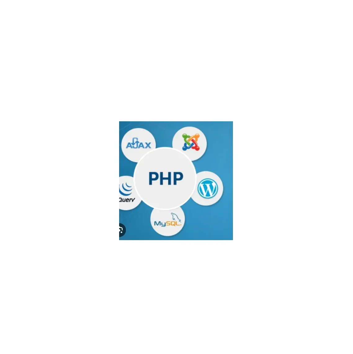 Professional Website Designing Services PHP Java HTML Linux Windows Web Development from Indian Exporter