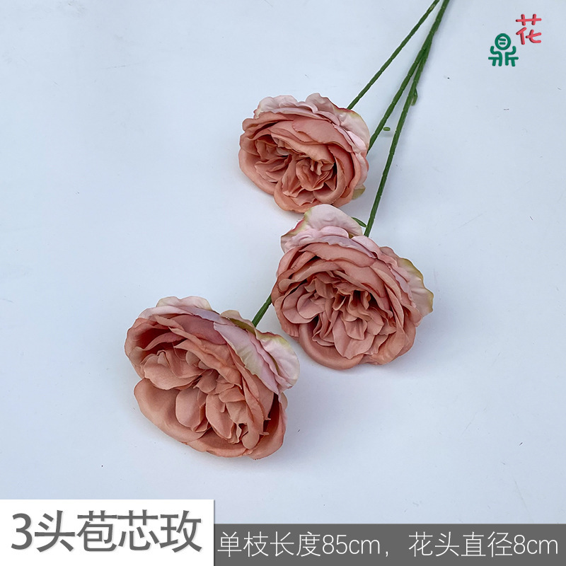Rosa burl de 3 cabezas YB 11 marrón otoño