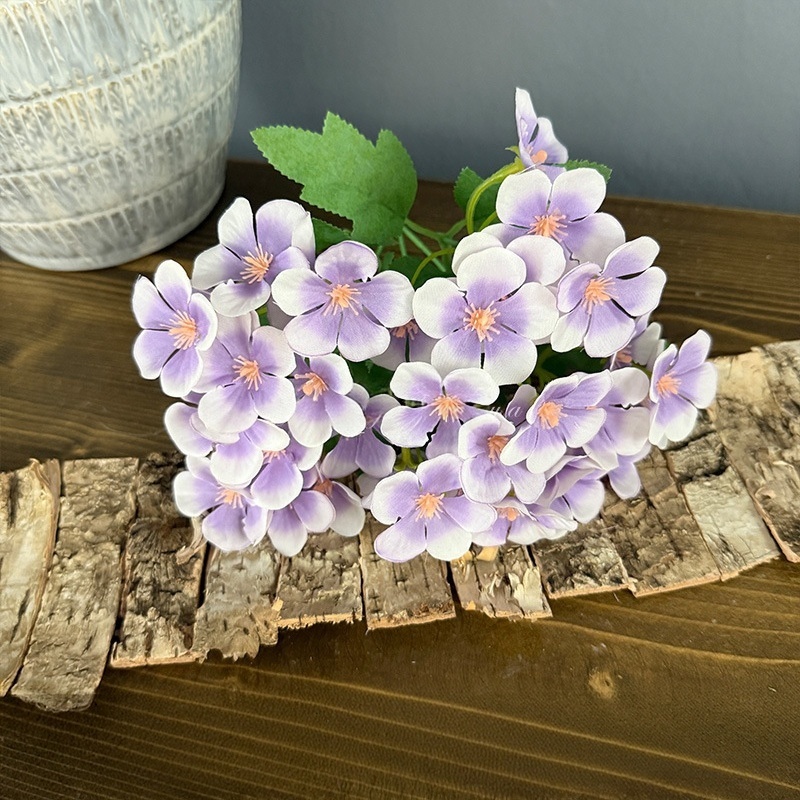 Pourpre