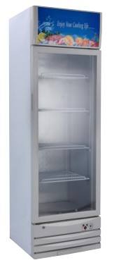 Congélateur seulement