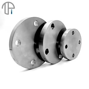 BJ Topti Trên Miếng Đệm Lỗ Mặt Bích Mù Chất Lượng Chuyên Nghiệp Mặt Bích MÙ ĐÔI Gr5 Gr2 - Product Image 2