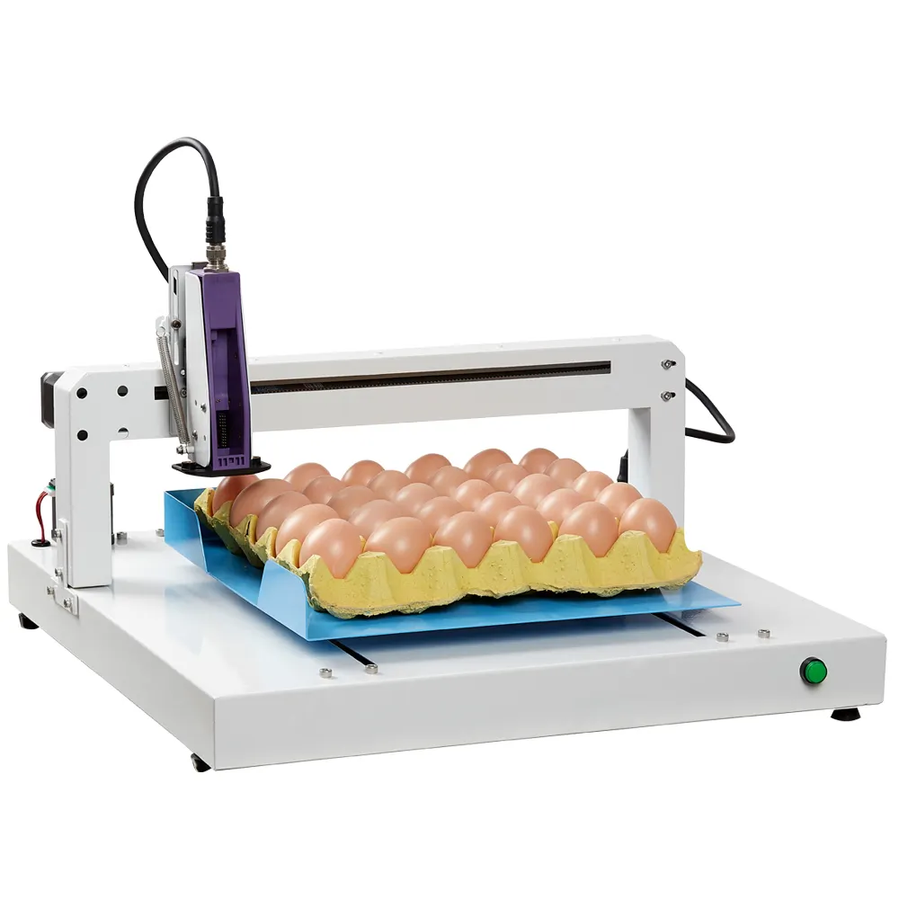 Btmark máquina de codificação de ovos da impressora industrial, codificador de ovos da data da expiração