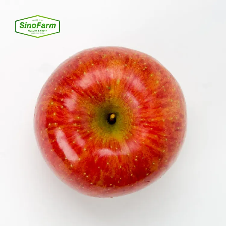 中国の新鮮なリンゴフルーツ高品質の新鮮な赤富士おいしいリンゴを競争力のある価格で販売