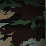 CAMO
