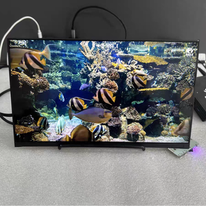 Mới lớp boe DV133FHM-NN0 13.3 inch siêu mỏng FHD LCD module-5.9 mét Slim LVDS TFT-LCM cho công nghiệp HMI - Product Image 3