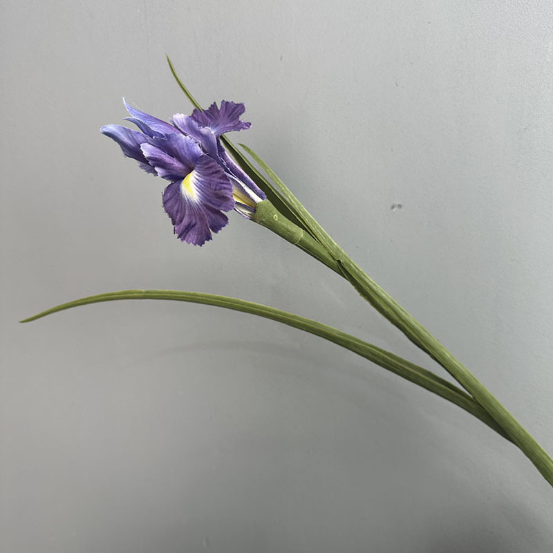 #4 dark purple