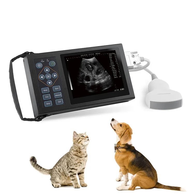 हाथ में पूर्ण डिजिटल रंग पशु चिकित्सा अल्ट्रासाउंड पालतू पशु पशु चिकित्सक अल्ट्रासाउंड स्कैनर उपकरण सुअर भेड़ बिल्ली कुत्ते के लिए