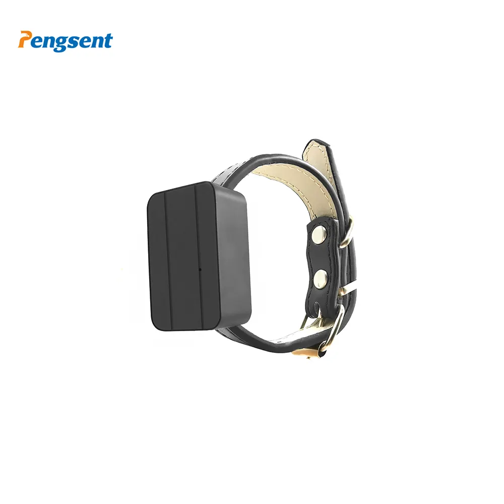Pengsent PT530 cattle smart animal gps tracker with app control animal anti theft gps tracker
