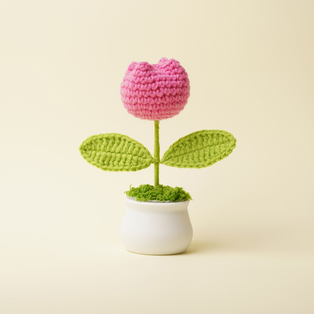 Plantes en pot de tulipes rose-rouge