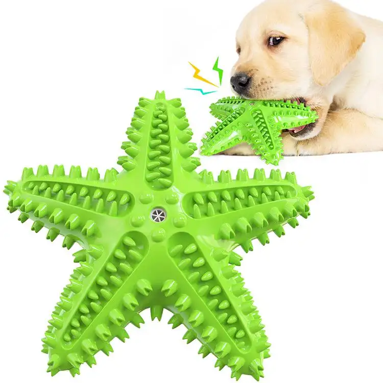 Sıcak satış denizyıldızı şekilli diş fırçası sondaj gıcırtılı köpek çiğnemek oyuncak iyileştirmek için faiz oyun