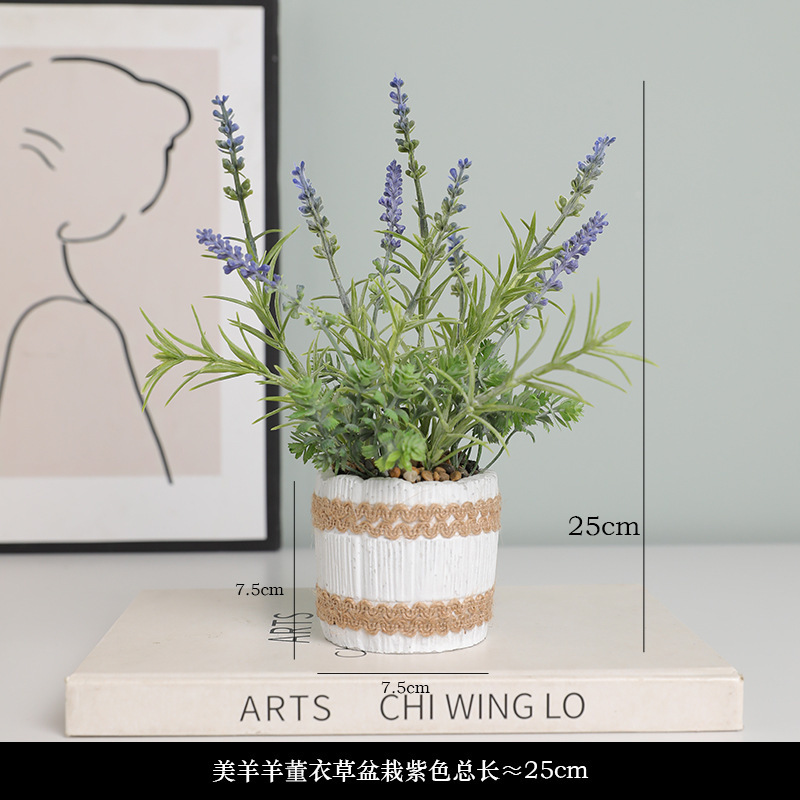 Plante en pot de lavande de chèvre agréable