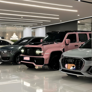 2023 wey 300ถัง SUV ติดผนังรถสีชมพูนม2.0ตันเทอร์โบเกียร์อัตโนมัติพวงมาลัยซ้ายพร้อมยาง R18และเบาะหนัง - Product Image 6