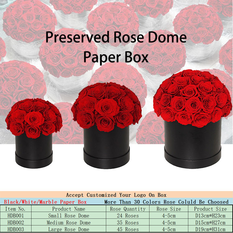 Rose dans une boîte dôme