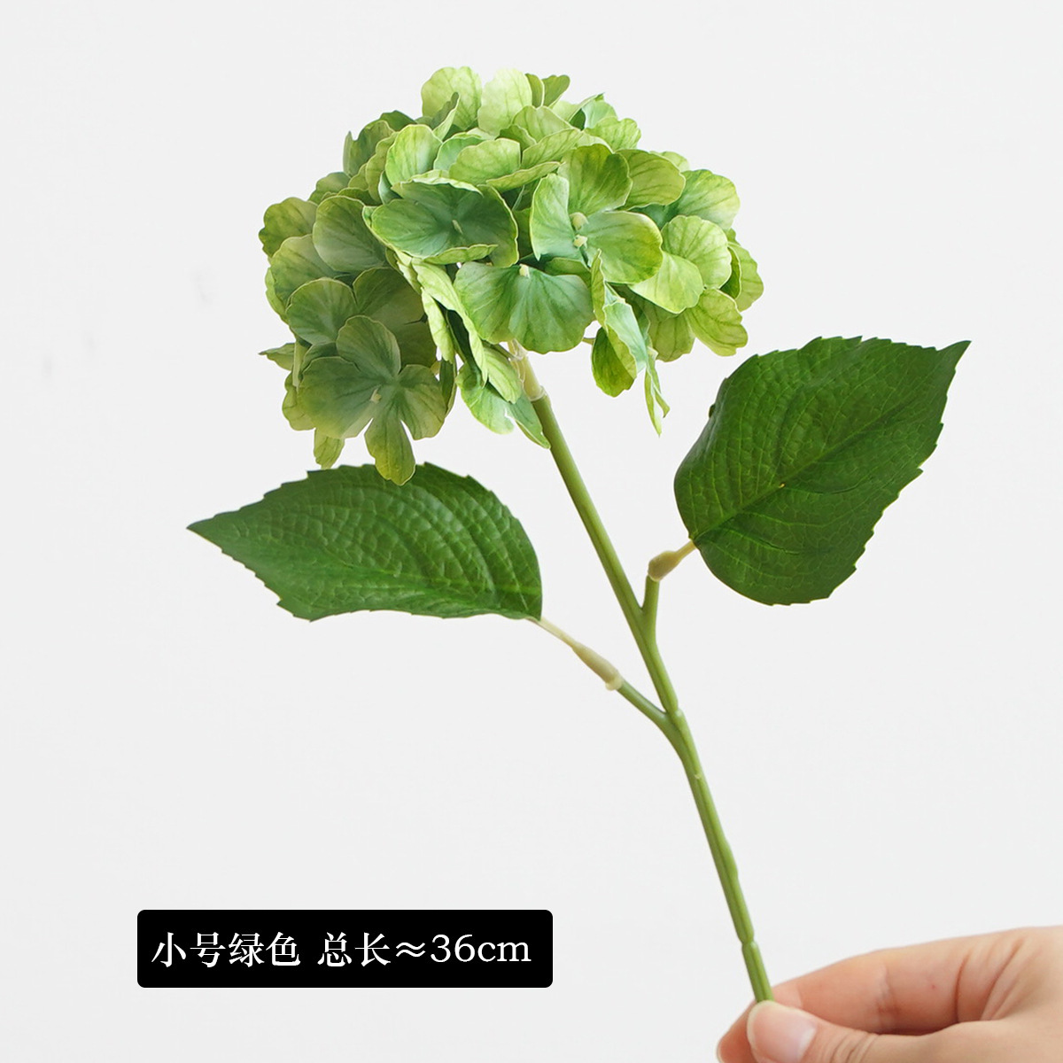 vert