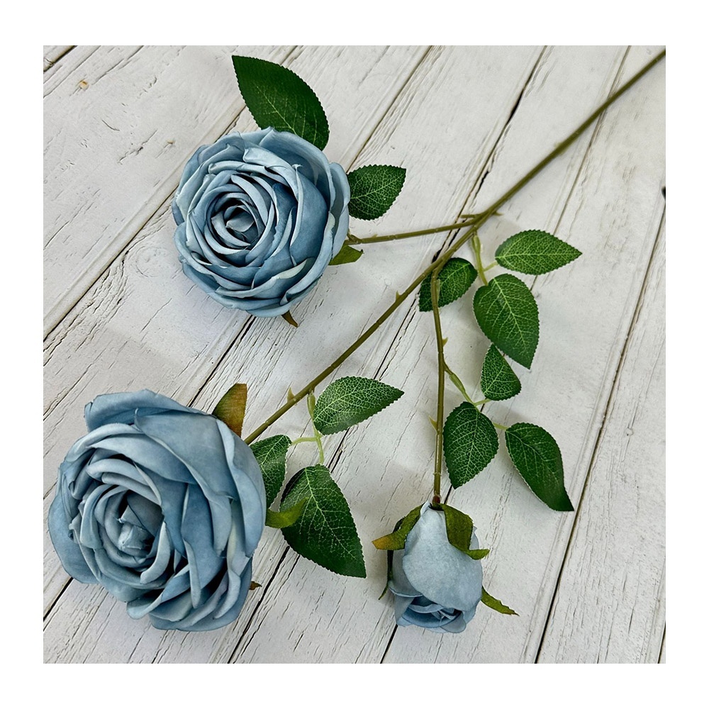 3 teste di rosa blu
