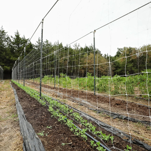 Custom Plastic <strong>Trellis</strong> Support Plant Climbing <strong>Net</strong> Vegetable Support <strong>Netting</strong> Garden <strong>Net</strong> Mesh <strong>Trellis</strong> <strong>Netting</strong> Roll - Product Image 3