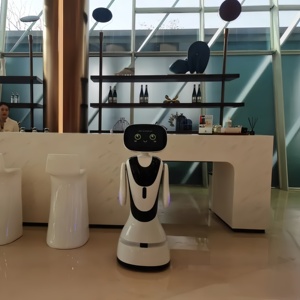 Robot di servizio di controllo remoto per innovazione educativa per Robot di ricezione interazione uomo-Robot - Product Image 5