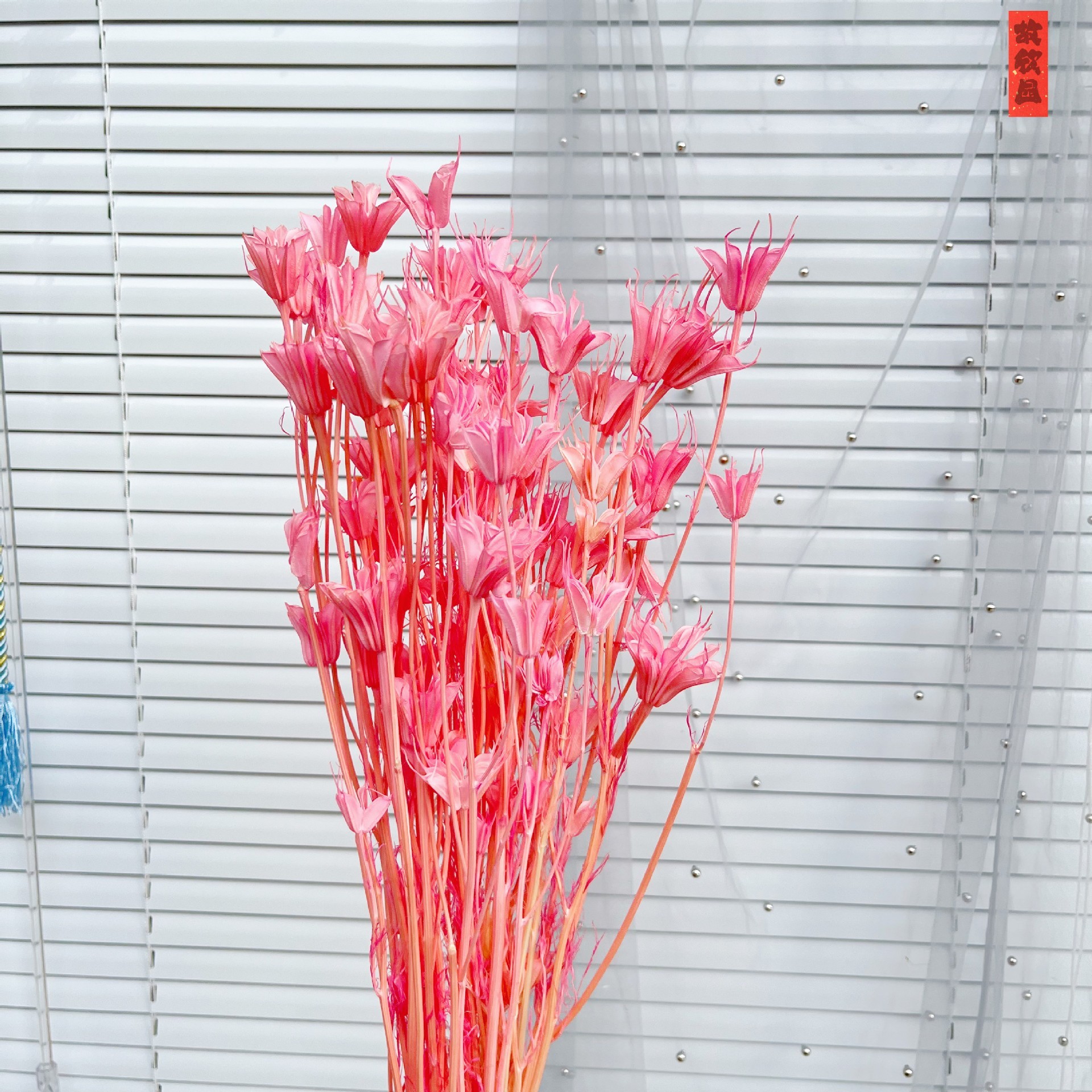 Rose foncé