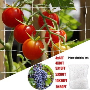 Nylon Garden <strong>Trellis</strong> <strong>Net</strong> for Cucumber <strong>Tomato</strong> Grape Climbing Plants Agricultural Trellising <strong>Netting</strong> - Product Image 2