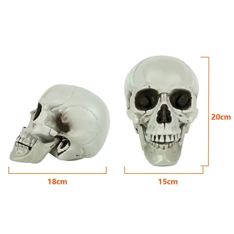 Yard Garden Props PP Scary Plastic Decoraciones de Halloween Tamaño real Hueso humano OEM/ODM