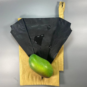 Fruit Bagging In Mango Mango Cover For Selling - Product Image 3