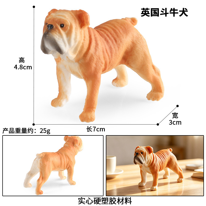 Bouledogue anglais coloré 3588