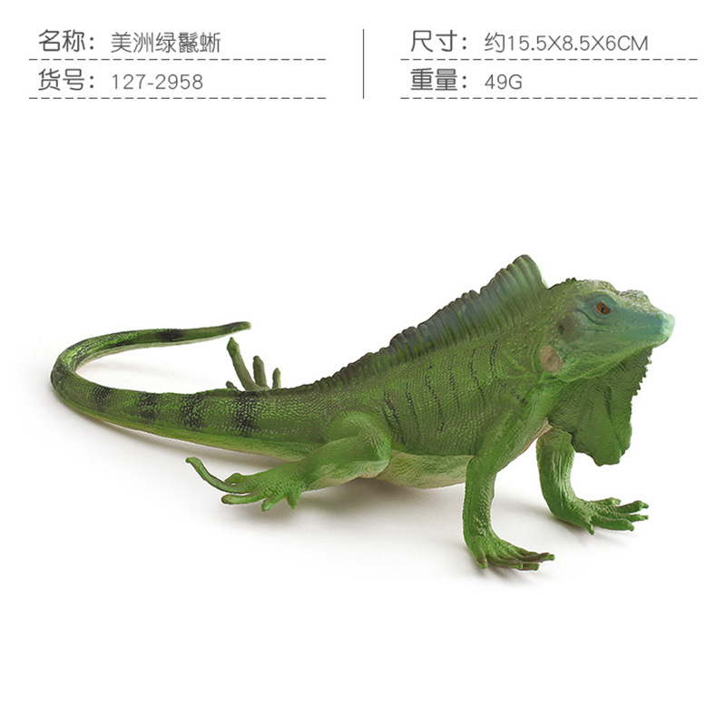 PL127-2958 American Green Iguana 49g