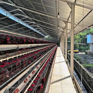 优质热镀锌a型农场家禽电池笼，用于蛋鸡用马达，用于蛋鸡的外壳