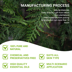 Free Samples <strong>Cypress</strong> Essential <strong>Oil</strong> for Diffuser 100% Pure Natural <strong>Cypress</strong> <strong>Oil</strong> for Candle Making Aromatherapy Refresh Air - Product Image 3