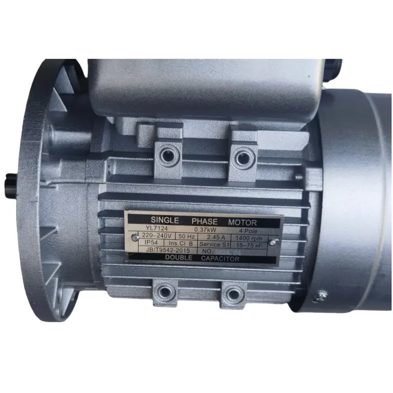 Hot Quality Low Rpm Small Ac 220v 5.5kw Single Phase Electric Motor
