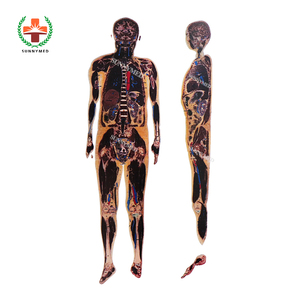 Medical <strong>Human</strong> Anatomy Virtual System Virtual Anatomy Dissection Table for School - Product Image 5