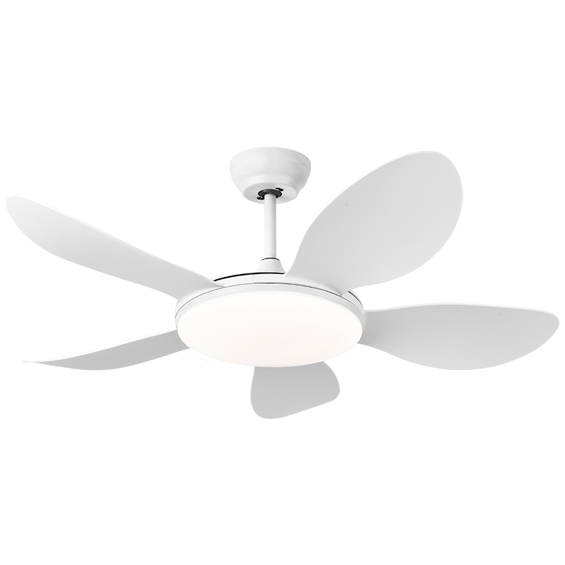 สีขาว
