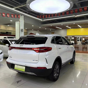 2019 Year 2020 Weimar Wm <strong>Ex5</strong> Pure Electric Suv Used Cars for <strong>Sale</strong>