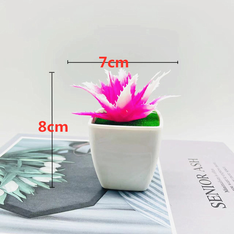 Aloe rose