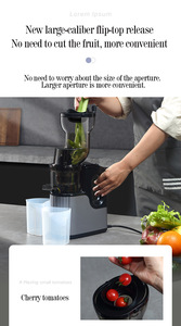 多機能全自動ジュース分離大径商用ジューサー - Product Image 6