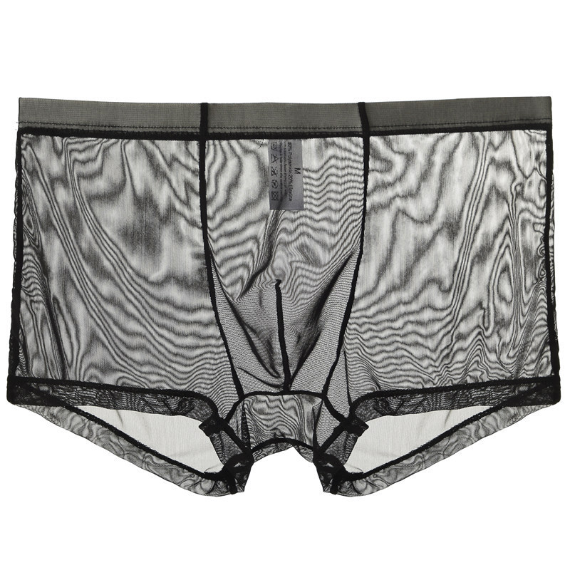Black Thin Sheer Mesh Boxer Brief