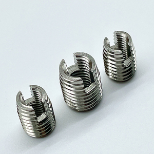<span class=keywords><strong>Cnc</strong></span> Tornio Parti di SS304 Intaglio Tipo di Filo Filo di Riparazione Dado di Inserimento