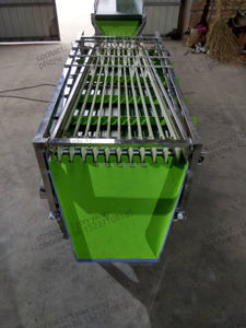 Factory Price Fruit plum Passion Sorter Potato Roller Size <strong>Sorting</strong> Machine apple Mango Walnut Date Garlic Grade Sorter - Product Image 4