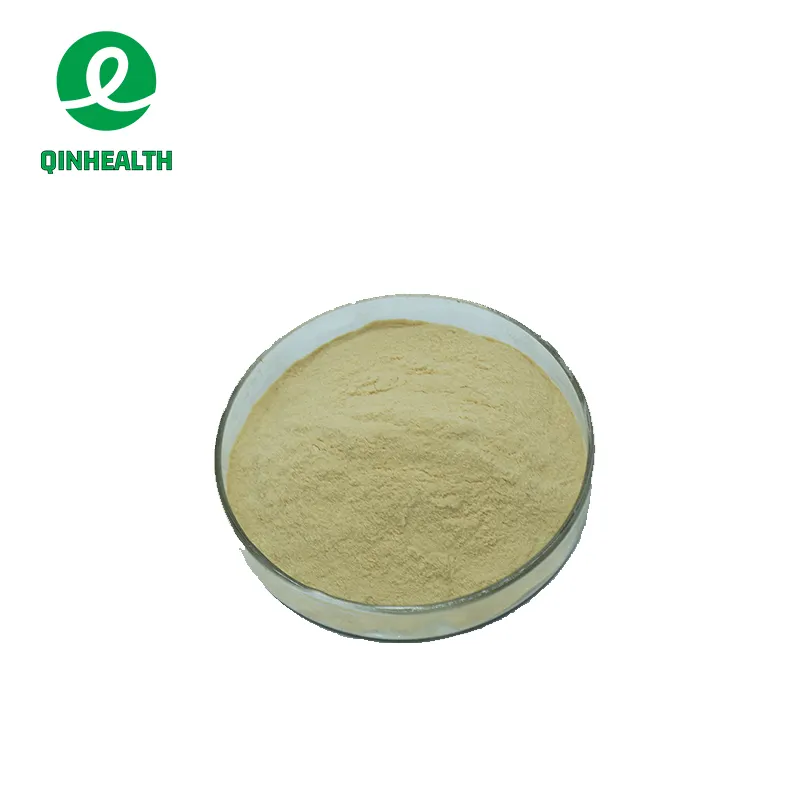 Qin Health Supply Banana Polvo liofilizado Grado alimenticio Polvo soluble en agua