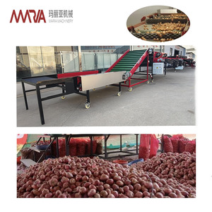 Automatic Srhimp Avocado <strong>Cucumber</strong> Kiwi Vegetable Fruit Size Weight Washing Grader <strong>Sorting</strong> and Sorter Grading <strong>Machine</strong> for Sale - Product Image 3