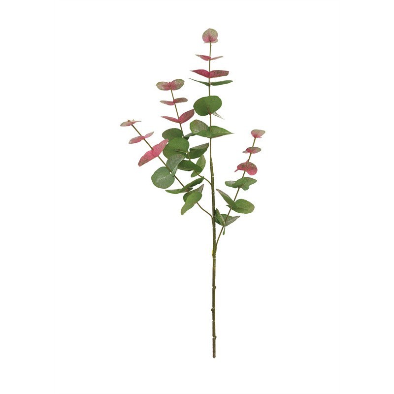 4 forchette - Eucalipto - punta rosa - 62 cm